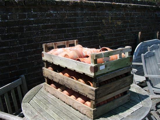 3 trays of terracotta pots